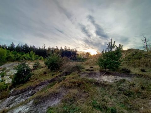 MTB-route Anloo, Drentsche Aa — foto 4