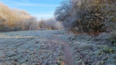 MTB-route Assen (Baggelhuizen), Drenthe — foto 2