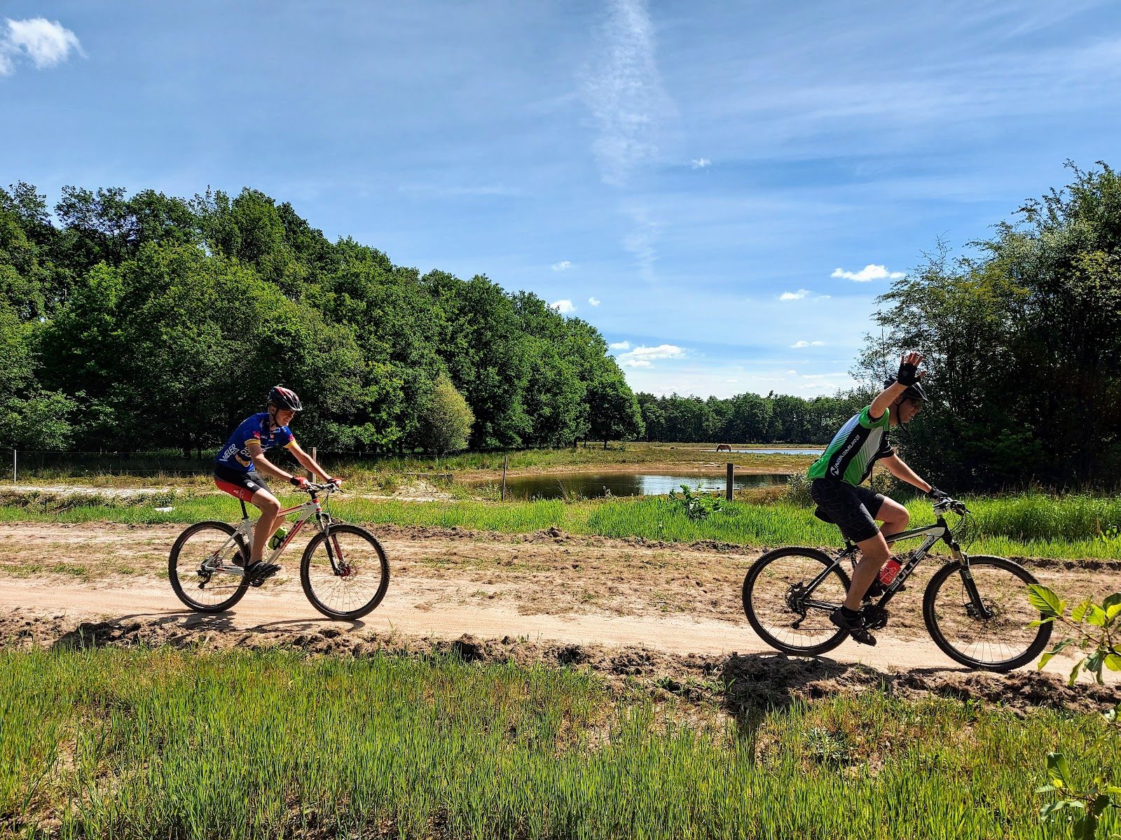 MTB-route Diever - Hoogersmilde, Drents-Friese Wold — foto 1