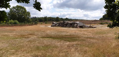 MTB-route Diever - Hoogersmilde, Drents-Friese Wold — foto 4