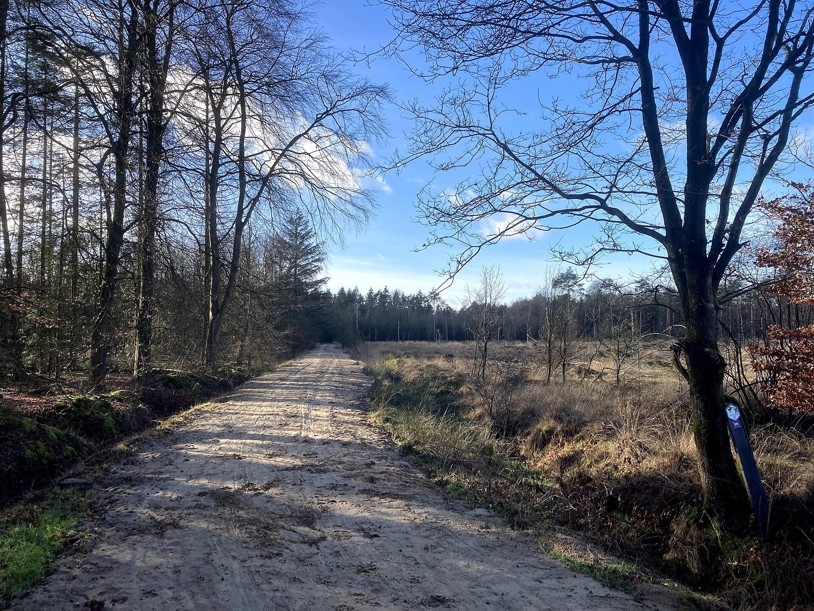 MTB-route Dwingeloo, Dwingelderveld — foto 1