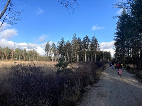 MTB-route Dwingeloo, Dwingelderveld — foto 3