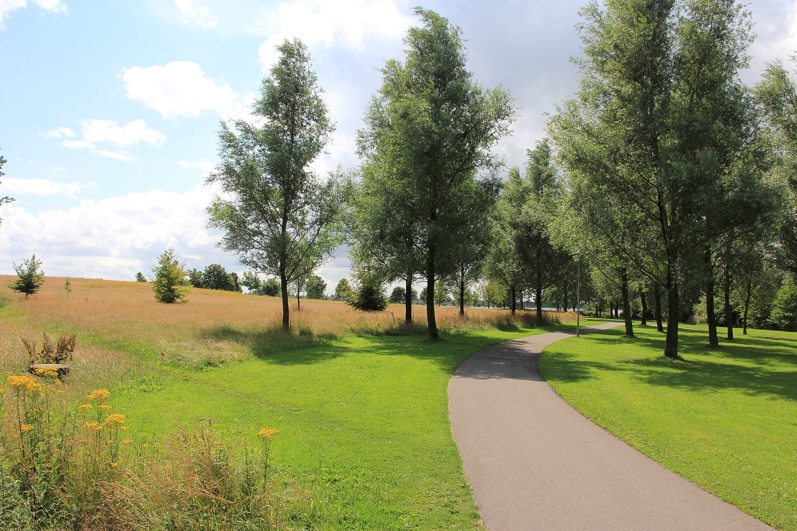 MTB-route Emmen (Grote Rietplas), Hondsrug — foto 1