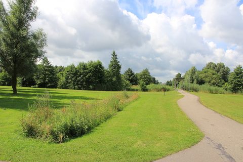 MTB-route Emmen (Grote Rietplas), Hondsrug — foto 2