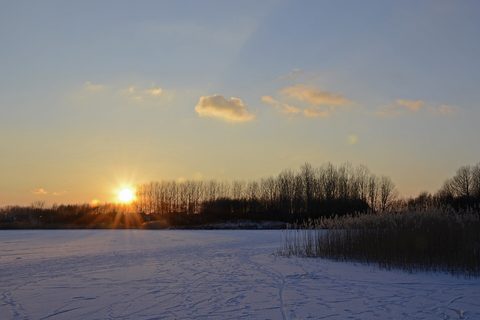 MTB-route Emmen (Grote Rietplas), Hondsrug — foto 3