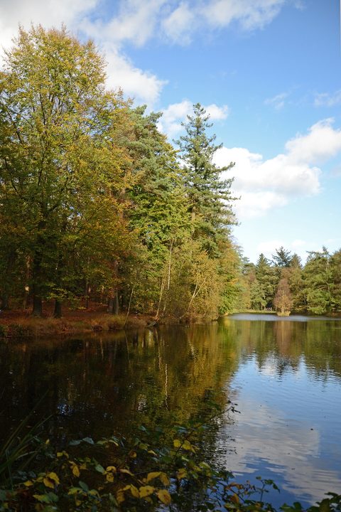 MTB-route Emmen (Valtherbos/Emmerdennen), Hondsrug — foto 3