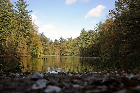MTB-route Emmen (Valtherbos/Emmerdennen), Hondsrug — foto 4