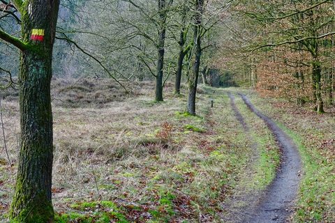 MTB-route Exloo, Hondsrug — foto 2