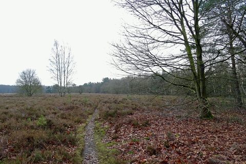MTB-route Exloo, Hondsrug — foto 4