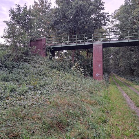 MTB-route Gieten - Gasselte, Drentsche Aa — foto 2