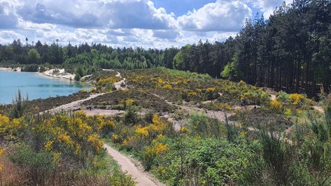 MTB-route Gieten - Gasselte, Drentsche Aa — foto 3