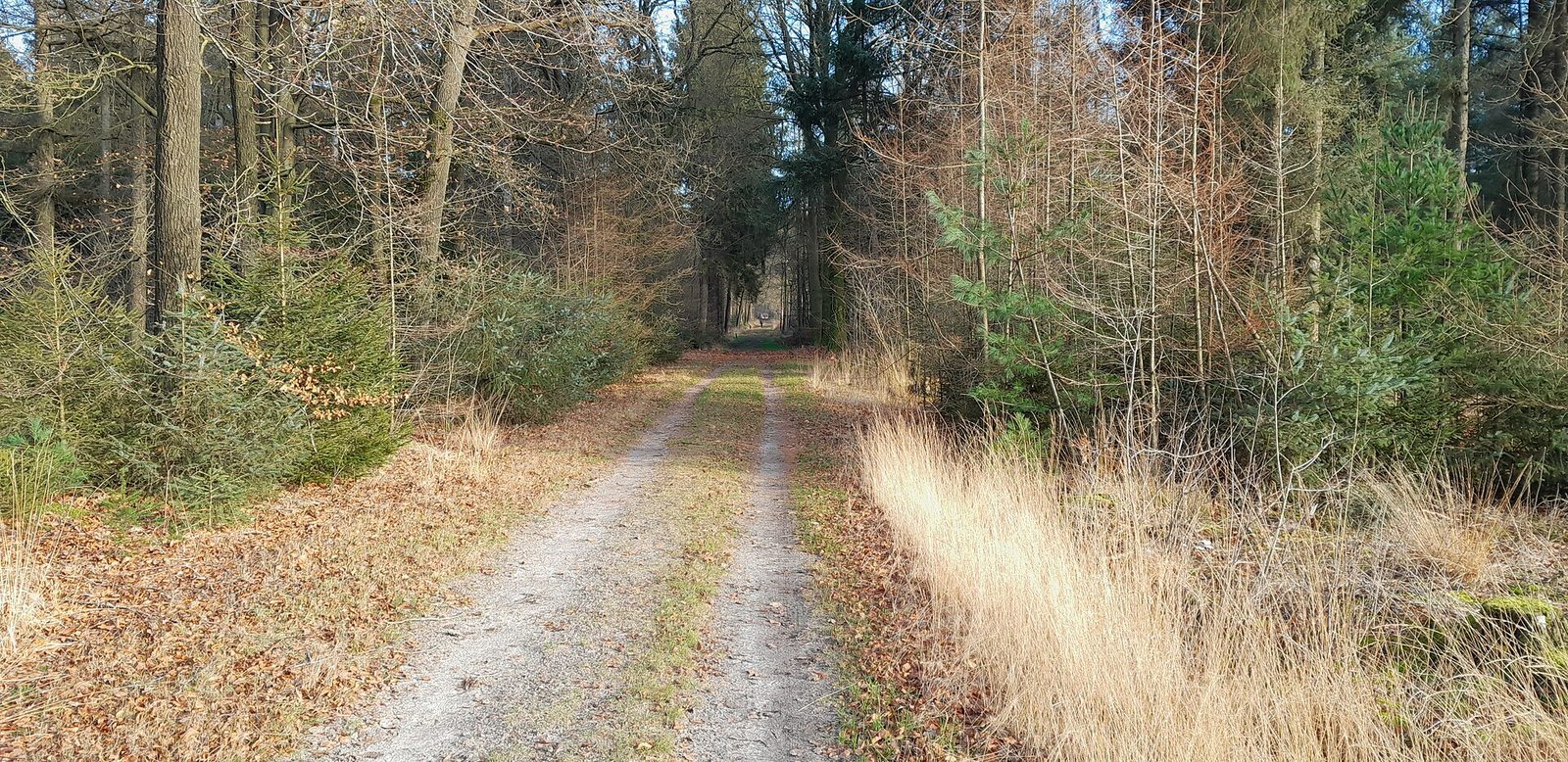 MTB-route Grolloo, Drenthe — foto 1