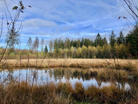 MTB-route Grolloo, Drenthe — foto 2