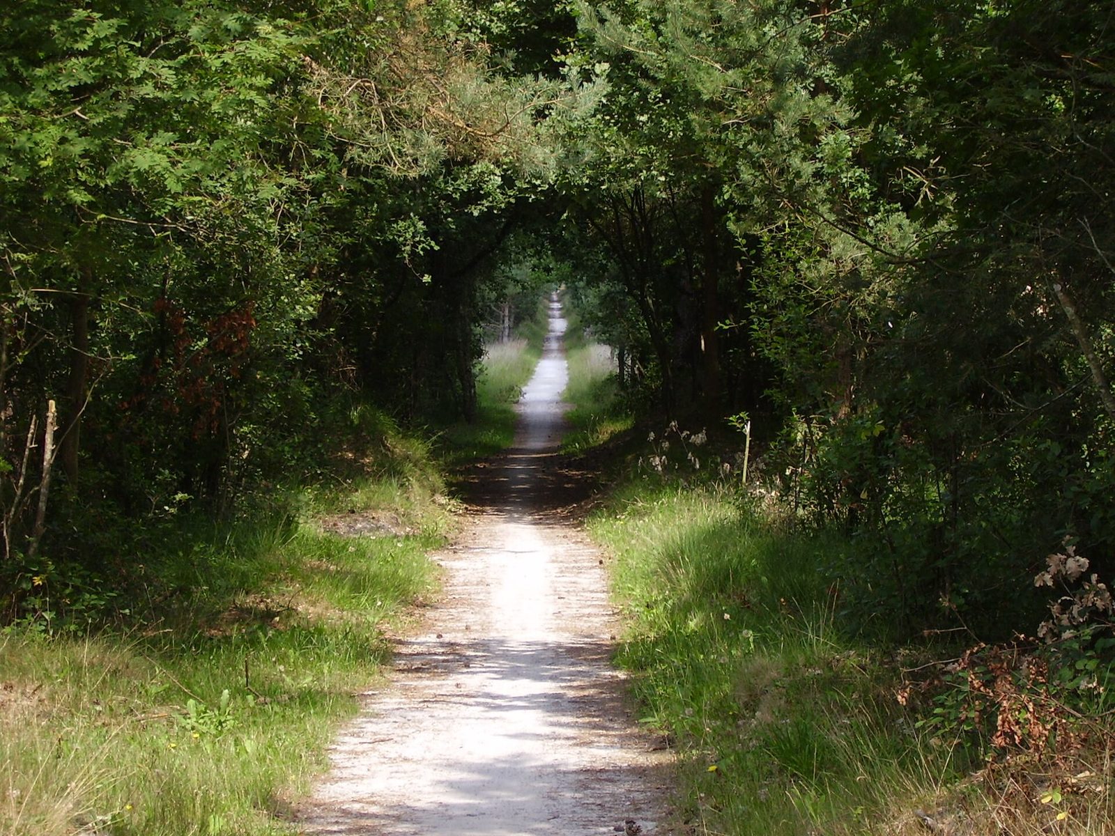 Havelte (Oost) (Gravel), Drenthe — foto 1