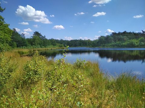 Havelte (Oost) (Gravel), Drenthe — foto 2