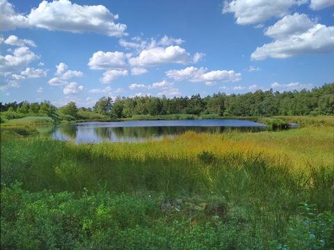 Havelte (Oost) (Gravel), Drenthe — foto 3