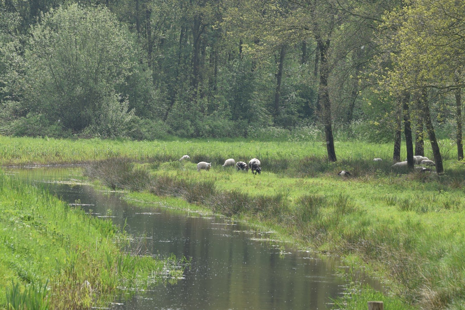MTB-route Wijster, Drenthe — foto 1