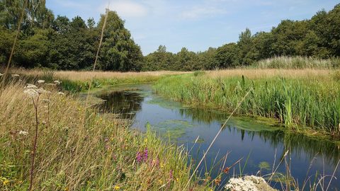 MTB-route Wijster, Drenthe — foto 2