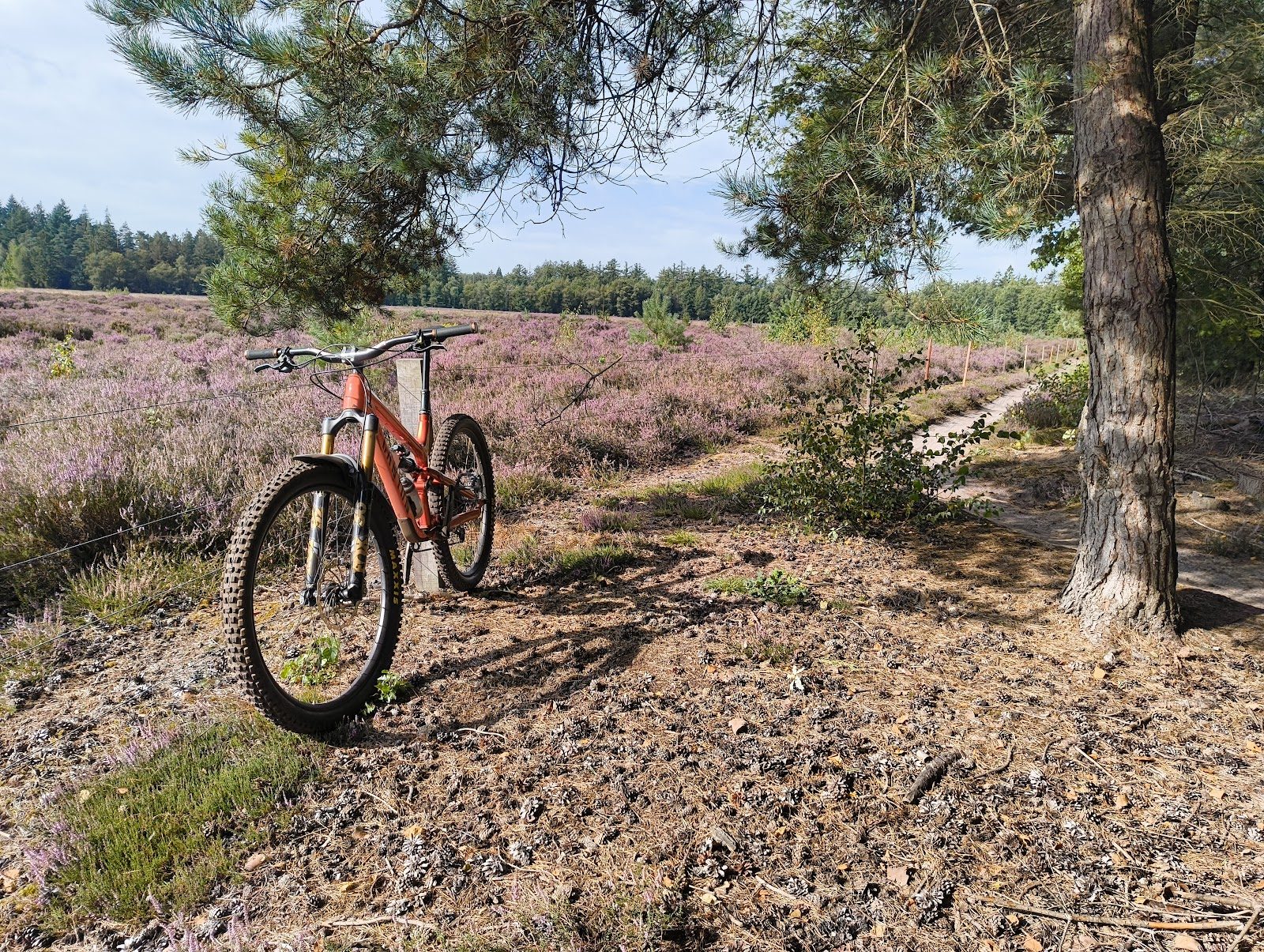 MTB-route Zuidwolde (West), Drenthe — foto 1