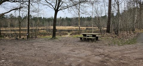 MTB-route Zuidwolde (West), Drenthe — foto 3