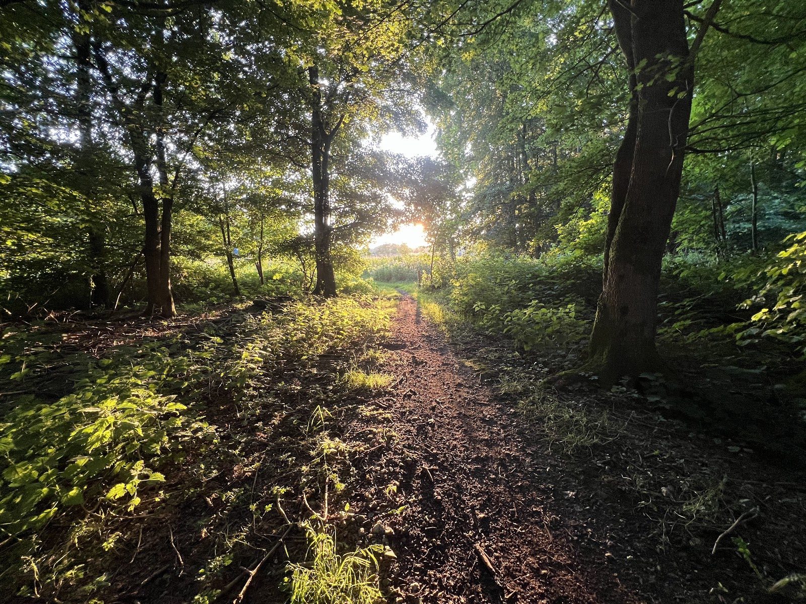MTB-route Almere (Kemphaan), Flevoland — foto 1