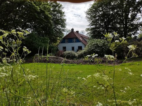 MTB-route Bant, Flevoland — foto 2