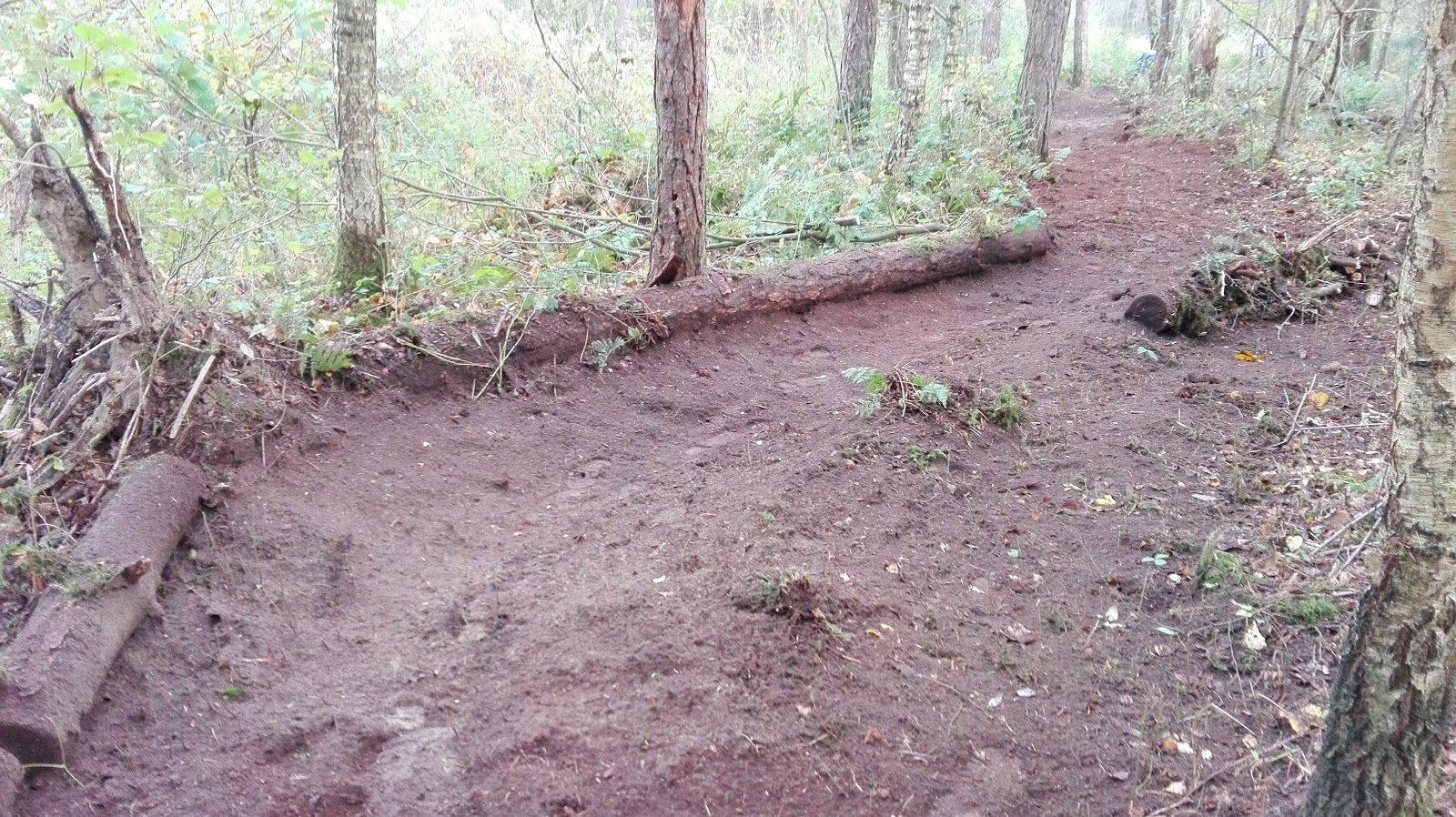 MTB-route Dronten, Flevoland — foto 1