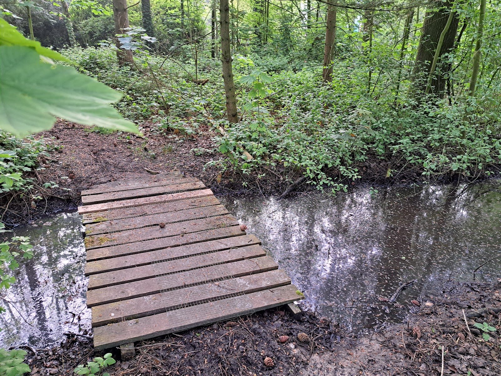 MTB-route Kraggenburg, Flevoland — foto 1