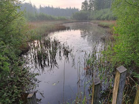 MTB-route Kraggenburg, Flevoland — foto 2