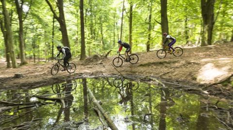 MTB-route Kraggenburg, Flevoland — foto 3