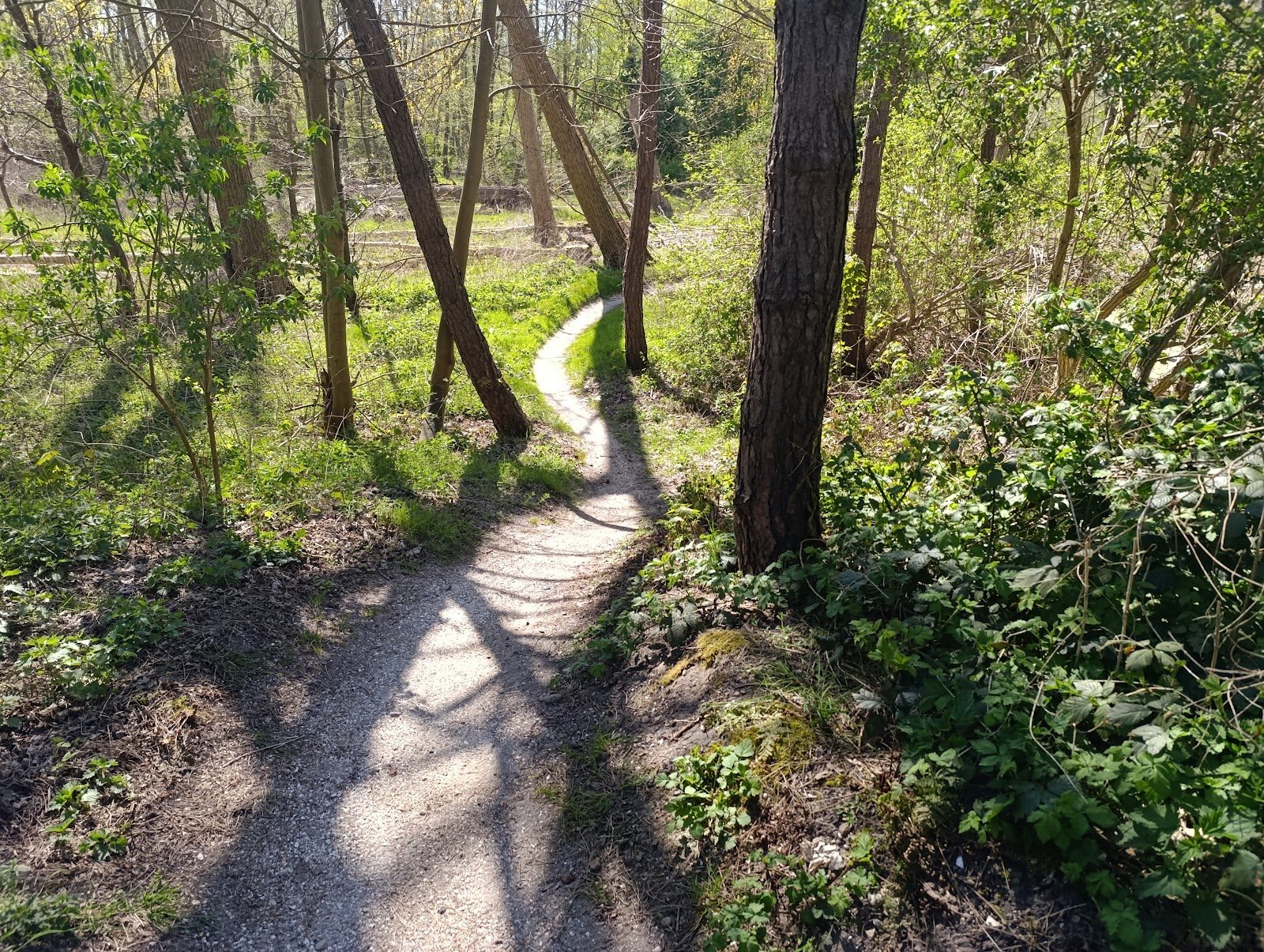 MTB-route Urk, Flevoland — foto 1