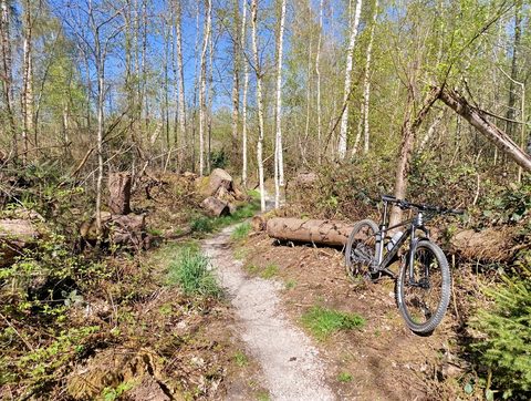 MTB-route Urk, Flevoland — foto 2