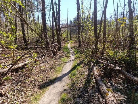 MTB-route Urk, Flevoland — foto 4