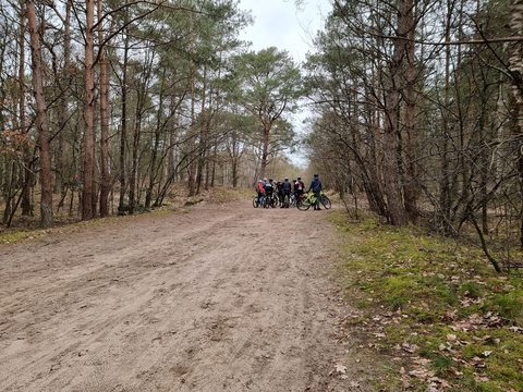 MTB-route Appelscha (Bosberg), Drents-Friese Wold — foto 4
