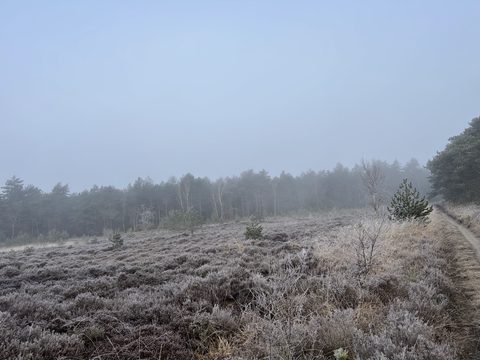 MTB-route Appelscha, Drents-Friese Wold — foto 2