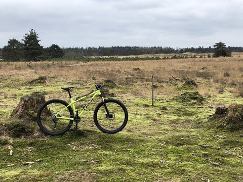 MTB-route Appelscha, Drents-Friese Wold — foto 3