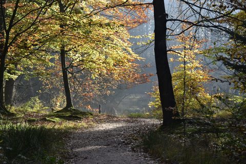 MTB-route Beetsterzwaag, Friesland — foto 2