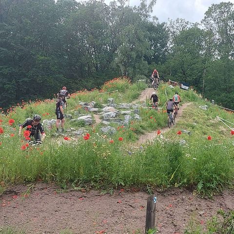 MTB-route Apeldoorn, Veluwe — foto 4