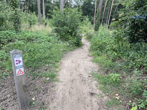 MTB-route Arnhem, Veluwezoom — foto 2