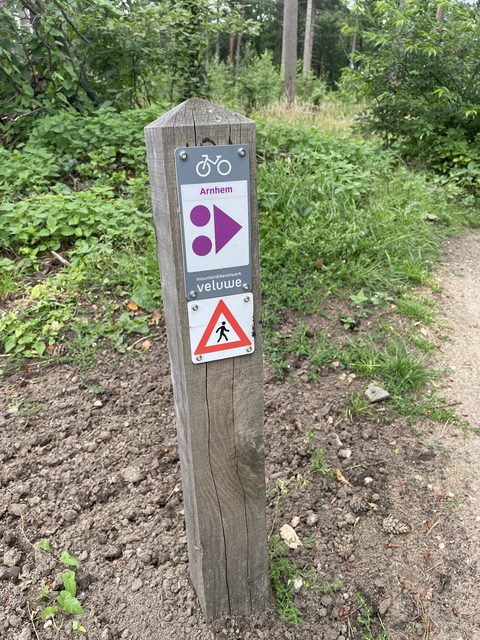 MTB-route Arnhem, Veluwezoom — foto 3