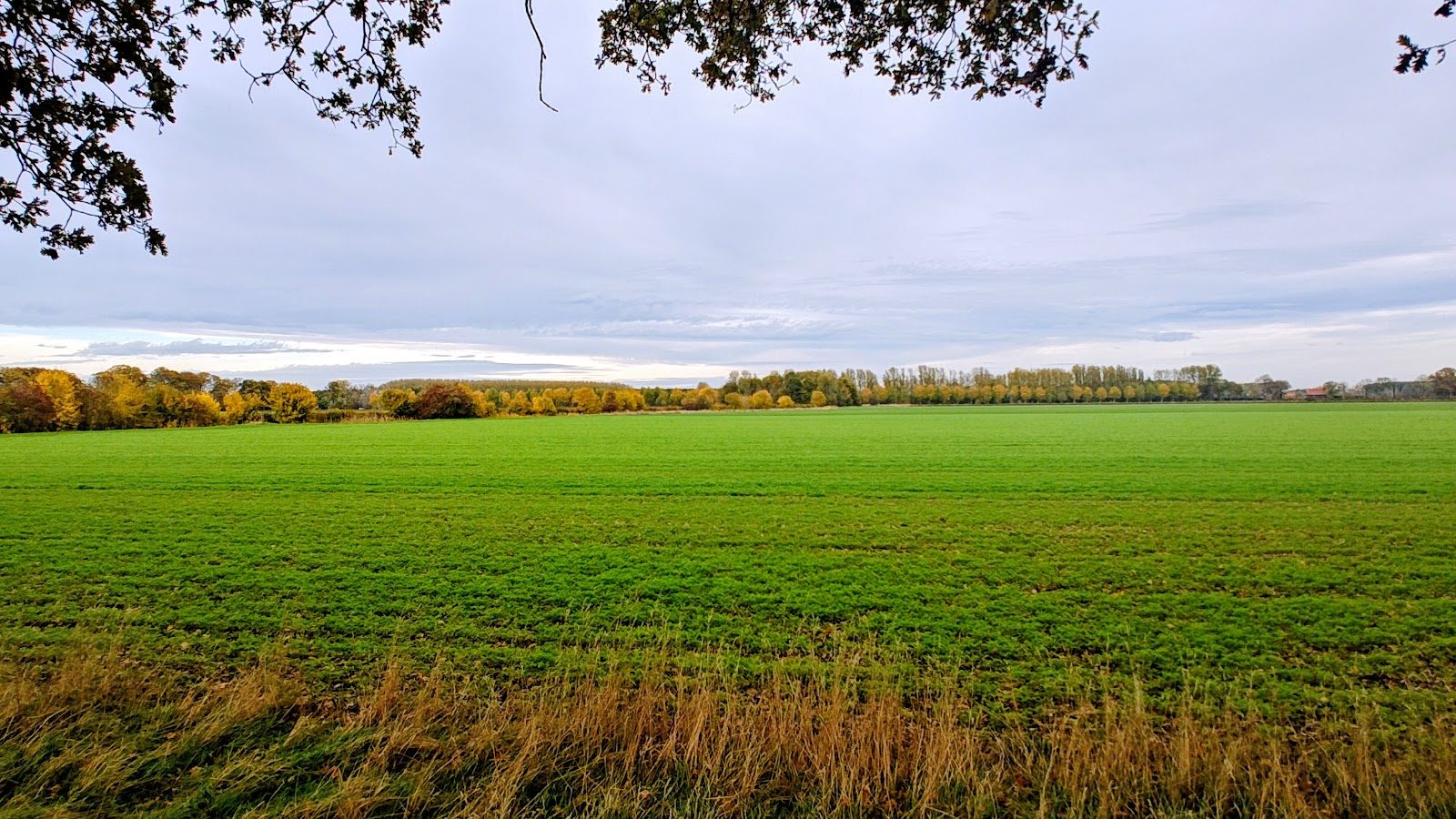 MTB-route Beesd (Kinderroute), Gelderland — foto 1