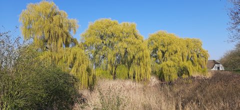 MTB-route Beesd (Kinderroute), Gelderland — foto 3