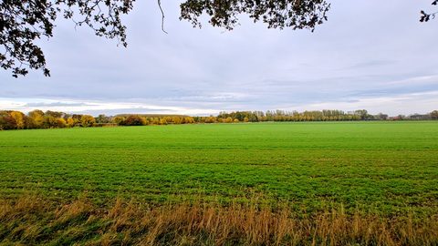 Foto van de route Beesd