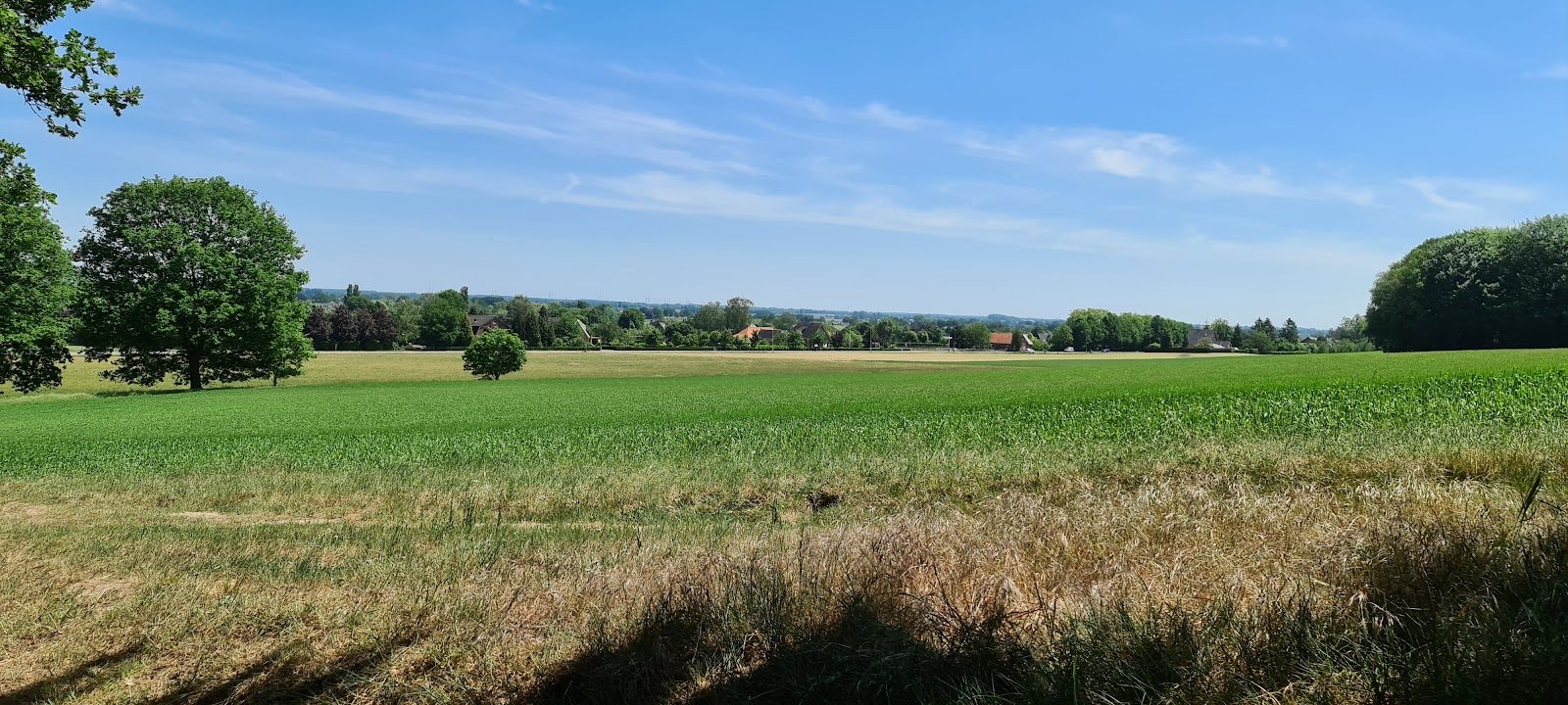 MTB-route Braamt, Montferland — foto 1