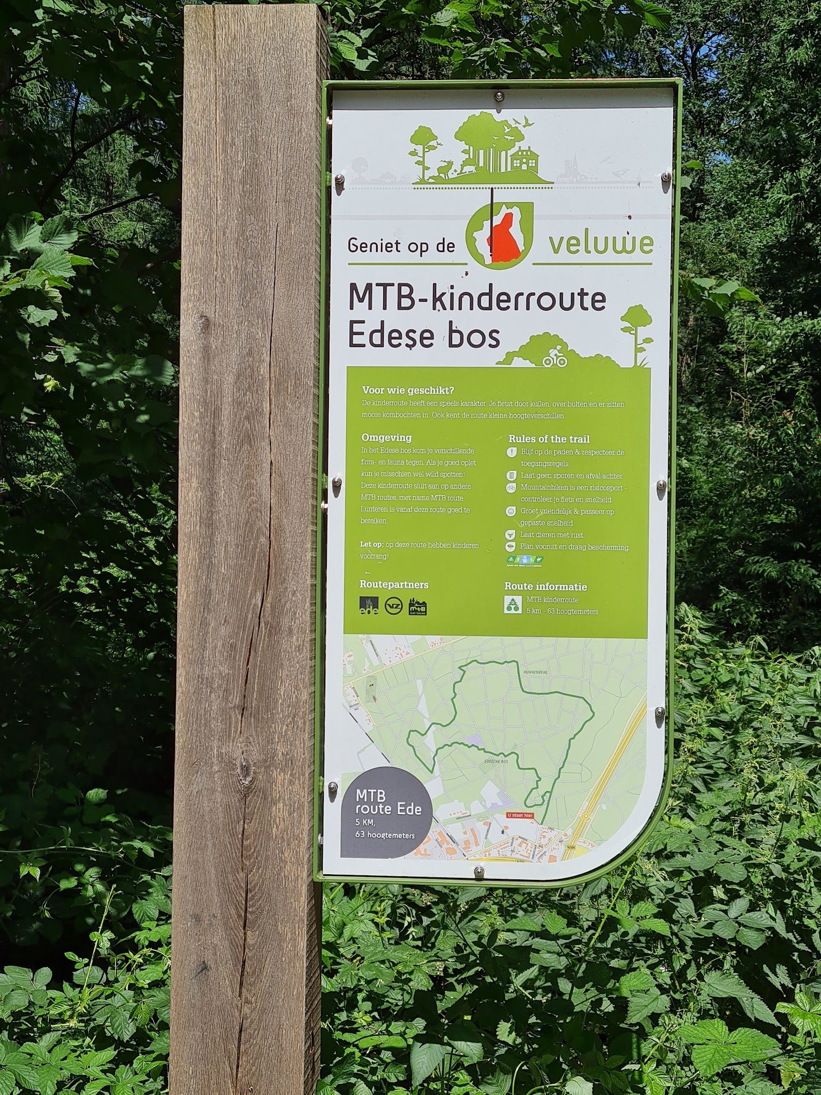 MTB-route Ede (Kinderroute), Veluwe — foto 1