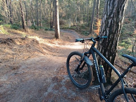 MTB-route Ermelo, Veluwe — foto 4