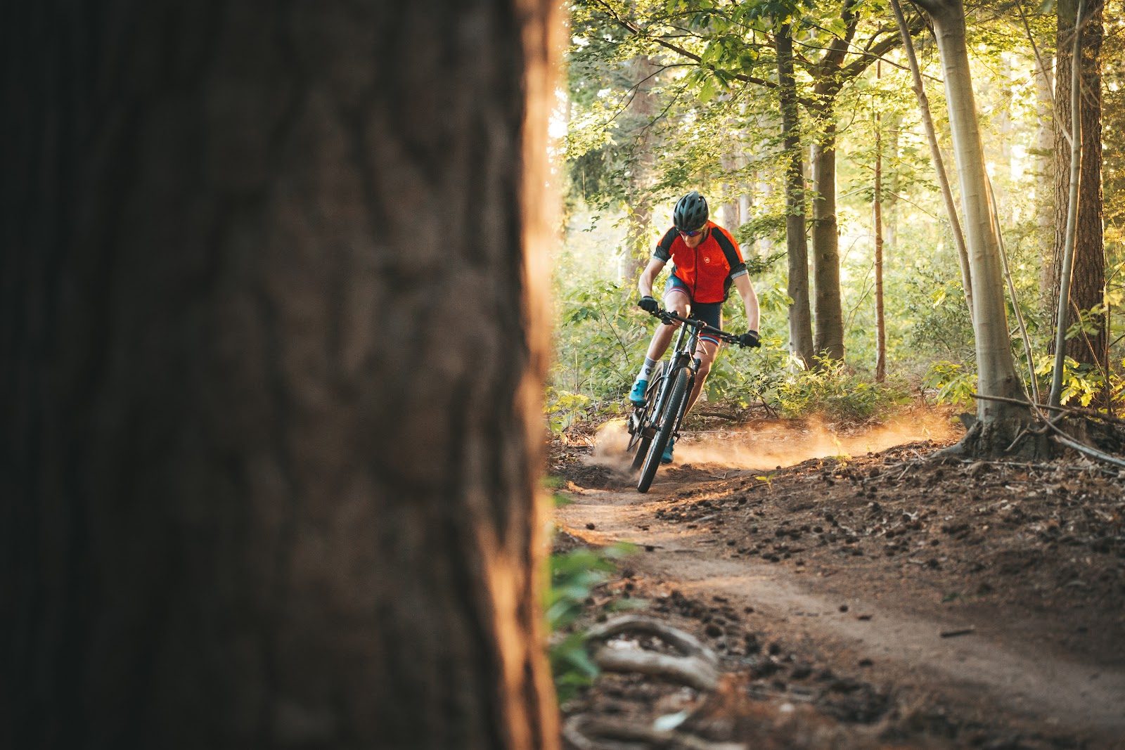 MTB-route Gorssel (Noord), Gelderland — foto 1