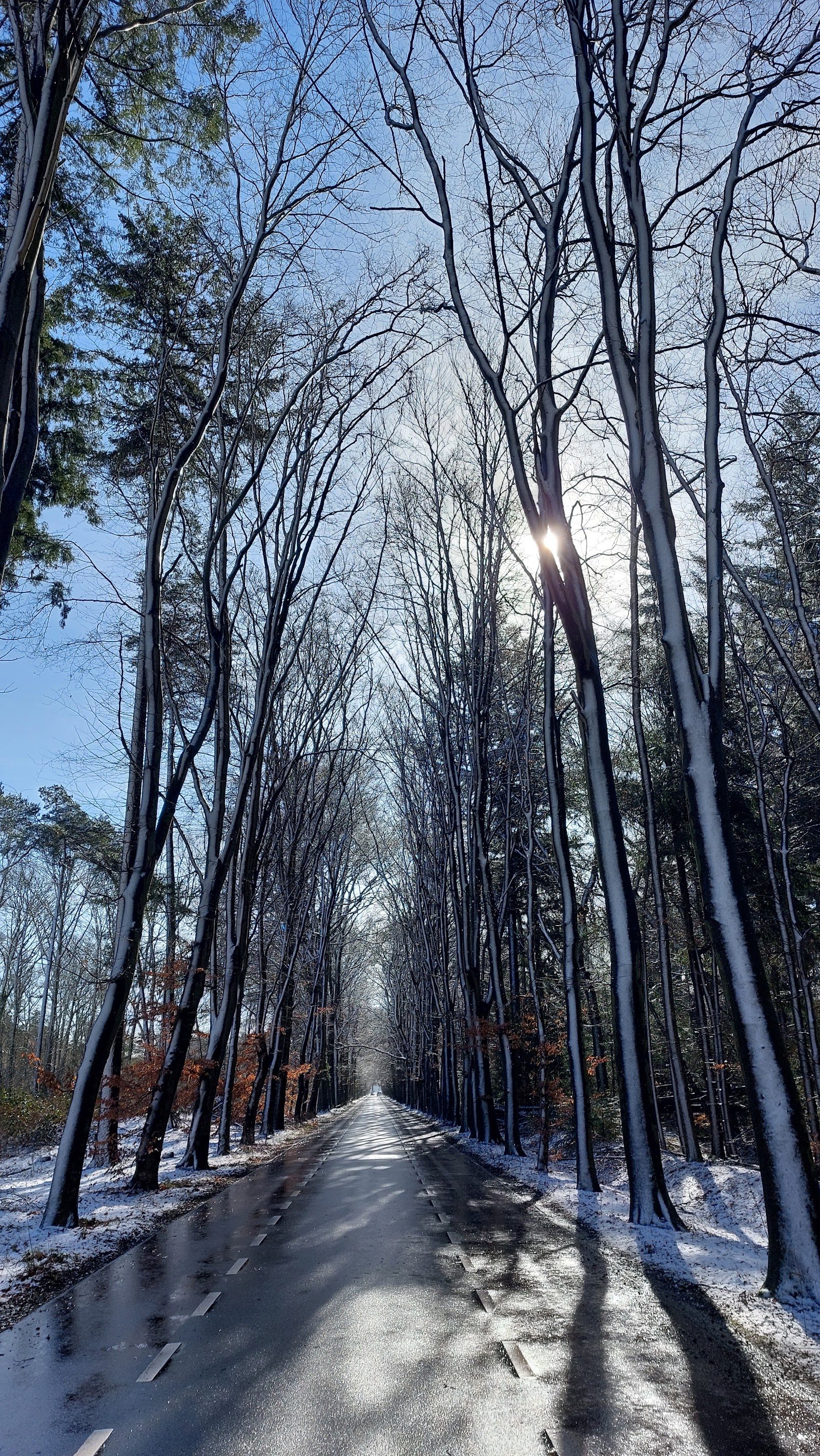 MTB-route Gorssel (Zuid), Gelderland — foto 1