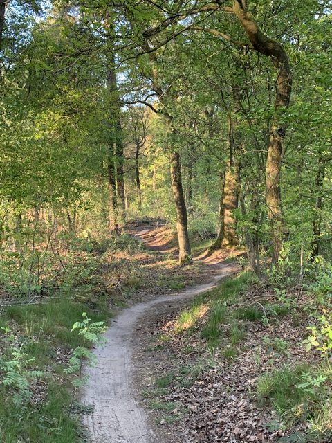 MTB-route Gorssel (Zuid), Gelderland — foto 2