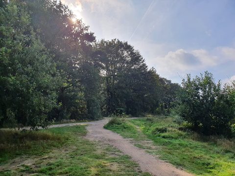 MTB-route Groesbeek, Rijk van Nijmegen — foto 3